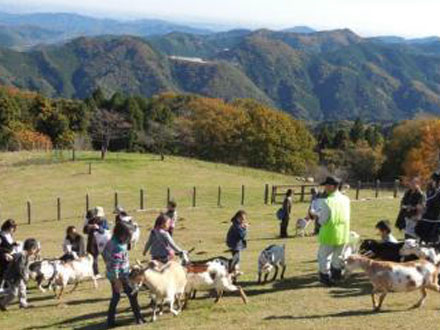 秩父高原牧場　彩の国ふれあい牧場