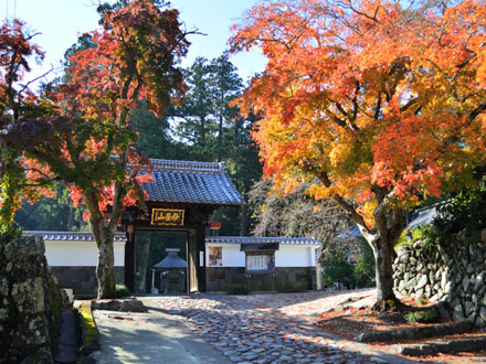 浄蓮寺