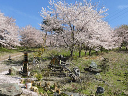 虎山の千本桜