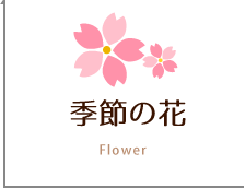 季節の花